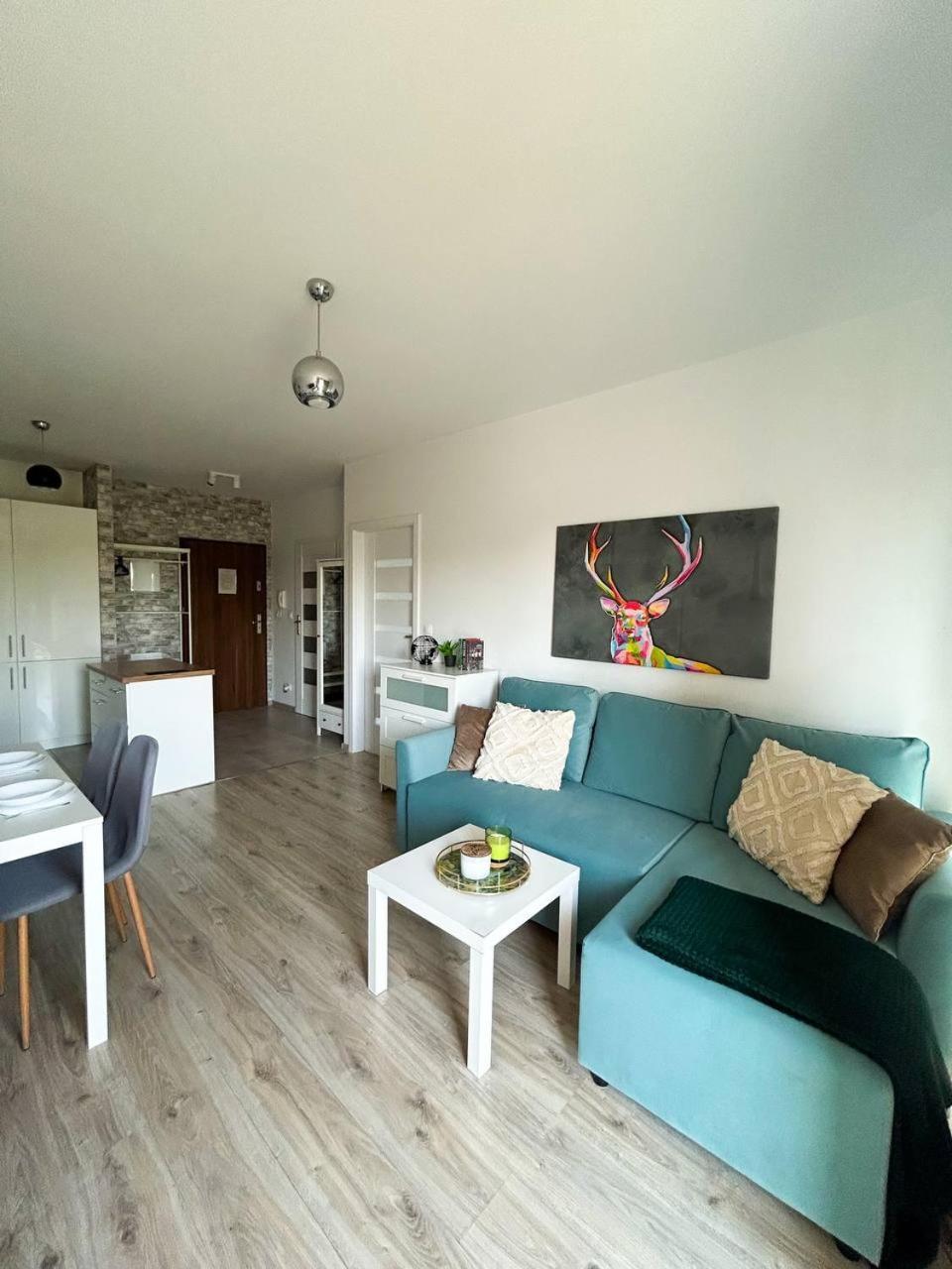 Lumina Comfy Apartment Lodz Buitenkant foto